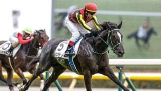 【京成杯AH出走馬・騎手確定】アスコリピチェーノ＆C.ルメール騎手、ディオ＆岩田康誠騎手など16頭