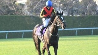 【京成杯AH枠順確定】アスコリピチェーノは5枠10番、ディオは2枠4番