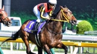 半姉はオークス2着で無念の早期引退 エヌマエリシュが悔しさ晴らす初陣Vなるか