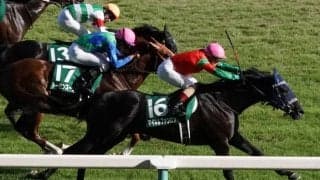 マイネルファンロンの競走馬登録抹消