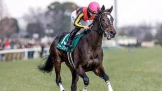 【ローズS想定騎手】クイーンズウォークは川田将雅騎手、レガレイラはC.ルメール騎手