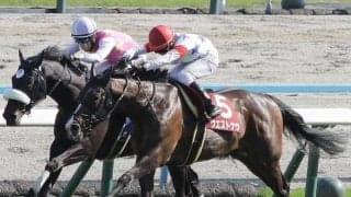 【神戸新聞杯想定馬・騎手】ウエストナウ、メイショウタバルなど15頭