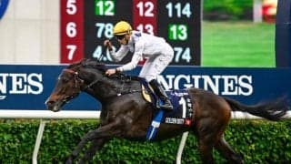 香G1・10勝ゴールデンシックスティの引退を香港JCが発表 余生はノーザンホースパークで過ごす