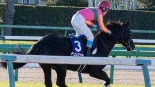 【阪神JS予想】2年ぶりの中京開催 直線に設置された2つの障害を先にクリアするのは