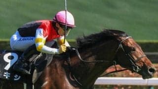 母はエリザベス女王杯覇者 良血の大器がオープン初勝利狙う