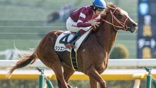 【愛チャンピオンS結果】エコノミクスが4連勝でGI初V 日本のシンエンペラーは3着に健闘