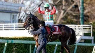 【セントライト記念前日オッズ】コスモキュランダが3.0倍で1番人気