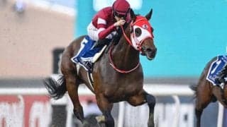 半兄は重賞4勝フォーエバーヤング ブラウンラチェットがルメール騎手でデビューVなるか