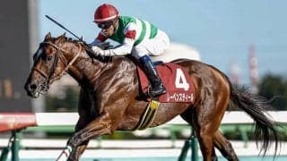 【オールカマー想定騎手】レーベンスティールはC.ルメール騎手、ステラヴェローチェは横山典弘騎手