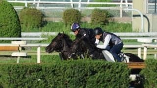 アメリカンオークス覇者を母に持つ1.3億円馬 サンライズアレスが初陣/関西馬メイクデビュー情報