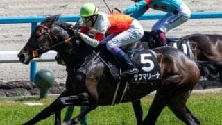 武豊騎手が神戸新聞杯14年ぶり4勝目へ 今年は末脚自慢の上がり馬と参戦