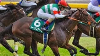 帝王の血を引く“大器” オールカマーで重賞連勝なるか