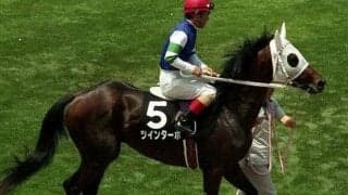 トリッキーな中山2200mで開催のオールカマー 勝ち馬たちも個性派そろう