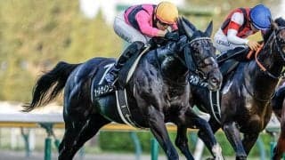 名門・友道康夫厩舎が神戸新聞杯の連覇なるか 夏の上がり馬2頭で菊の権利狙う
