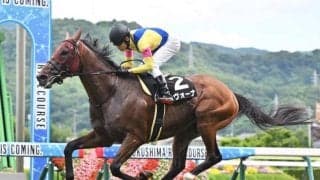 【オールカマー予想】上位人気馬の信頼度が高いレース AIが注目する“評価が割れそうな一頭”とは