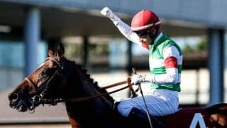 【オールカマー展望】古馬中距離GIの前哨戦、特に4歳馬が活躍傾向