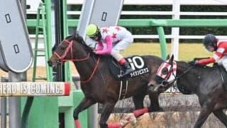 【金沢・白山大賞典枠順】3連勝中のダイシンピスケスは吉原寛人騎手とタッグ 6枠8番から初タイトル狙う