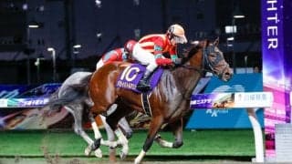 パライバトルマリンの競走馬登録抹消…交流重賞で活躍