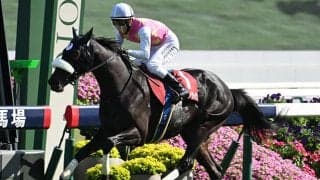 【神戸新聞杯予想】春の実績馬VS夏の上がり馬 前走日本ダービー組の取捨が的中のポイント