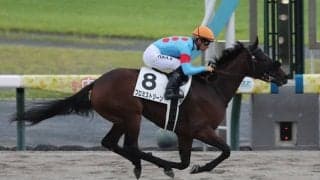 【中京4R新馬戦結果】ナダル産駒プロミストジーンが断然人気に応えて完勝