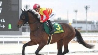【シリウスS見どころ】ハギノアレグリアスの連覇に期待