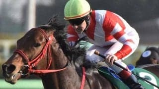 C.ルメール騎手4週連続中山重賞Vへ コンビ2戦2勝の伏兵とともにスプリンターズS制覇狙う