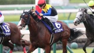 史上3人目の偉業達成へ “西の名トレーナー”がスプリンターズSでJRA平地GI3連覇狙う