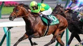 史上初のスプリンターズS父仔制覇なるか ロードカナロア産駒の2頭が参戦