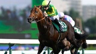 【スプリンターズS・調教後馬体重】サトノレーヴは549kg、ママコチャは502kg