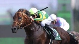 【スプリンターズS】サトノレーヴはプラス1キロ…調教後の馬体重
