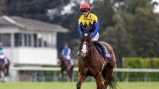【スプリンターズS枠順確定】ママコチャは3枠6番、サトノレーヴは6枠12番