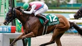 日曜の中山は道悪濃厚!? スプリンターズSはピューロマジックが波乱呼ぶ
