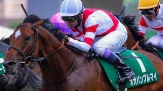 今週の武豊騎手は11鞍 オオバンブルマイで22年ぶりのスプリンターズS3勝目なるか