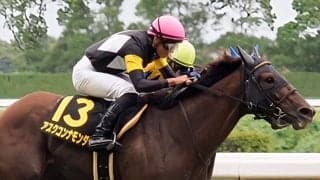 【ポートアイランドS】アスクコンナモンダがオープン初勝利…1番人気ノーブルロジャーは6着