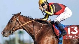 【毎日王冠】ローシャムパーク、ヨーホーレイクらが登録