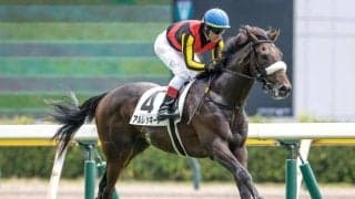 【サウジアラビアRC】アルレッキーノ、フードマンらが登録