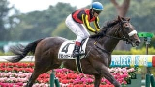 【サウジアラビアRC展望】2歳の出世レース、前走着順と着差が重要