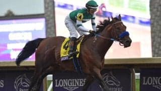 米最強馬フライトラインの父「タピット」 日本では芝・ダ問わず活躍馬を出す万能種牡馬