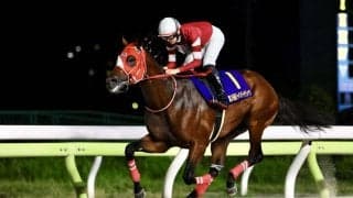 【JDC】矢作師「正直、八分程度」フォーエバーヤングいざアメリカへ