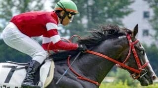 藤田晋オーナーの“マル外・魚目馬”がサウジアラビアRC参戦 JDC制覇＆凱旋門賞出走「藤田軍団」の勢いに乗るか