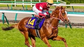 日本馬にかかる凱旋門賞の記録 勝てば史上初のきょうだい制覇