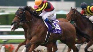 伯母は名牝ジェンティルドンナ 友道康夫厩舎のサトノブリジャールがデビューV狙う