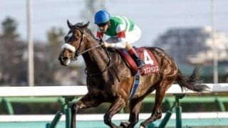 【毎日王冠・馬体重】シックスペンスは502kg(+14)、ローシャムパークは502kg(-4)