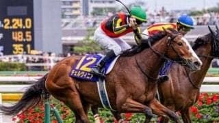 桜花賞馬とオークス馬の秋華賞ワンツーの可能性は低い!? データ的に有利なのは…