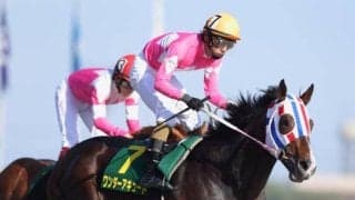 ワンダーアキュートが種牡馬引退 今後はYogiboヴェルサイユリゾートファームで功労馬に