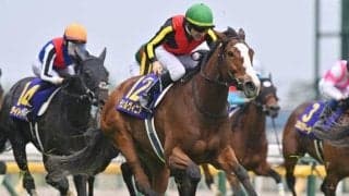 【秋華賞出走馬・騎手確定】チェルヴィニア＆C.ルメール騎手、ステレンボッシュ＆戸崎圭太騎手など15頭