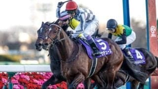 【天皇賞(秋)想定馬・騎手】ドウデュース、リバティアイランドなど16頭