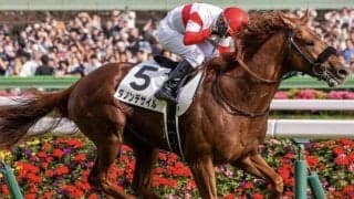 51年ぶり史上3頭目のダービー＆菊花賞二冠へ ダノンデサイルと過去2頭の意外な共通点とは？