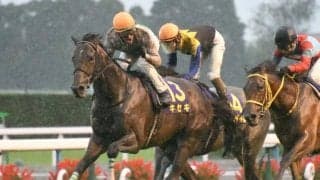 菊花賞馬キセキなど子孫に一流馬多数 “非凡な影響力”を武器に欧州血統を支えるアホヌーラ