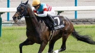 父ワールドエースへ初タイトルを 富士Sに関屋記念で“負けて強し”の5歳馬参戦